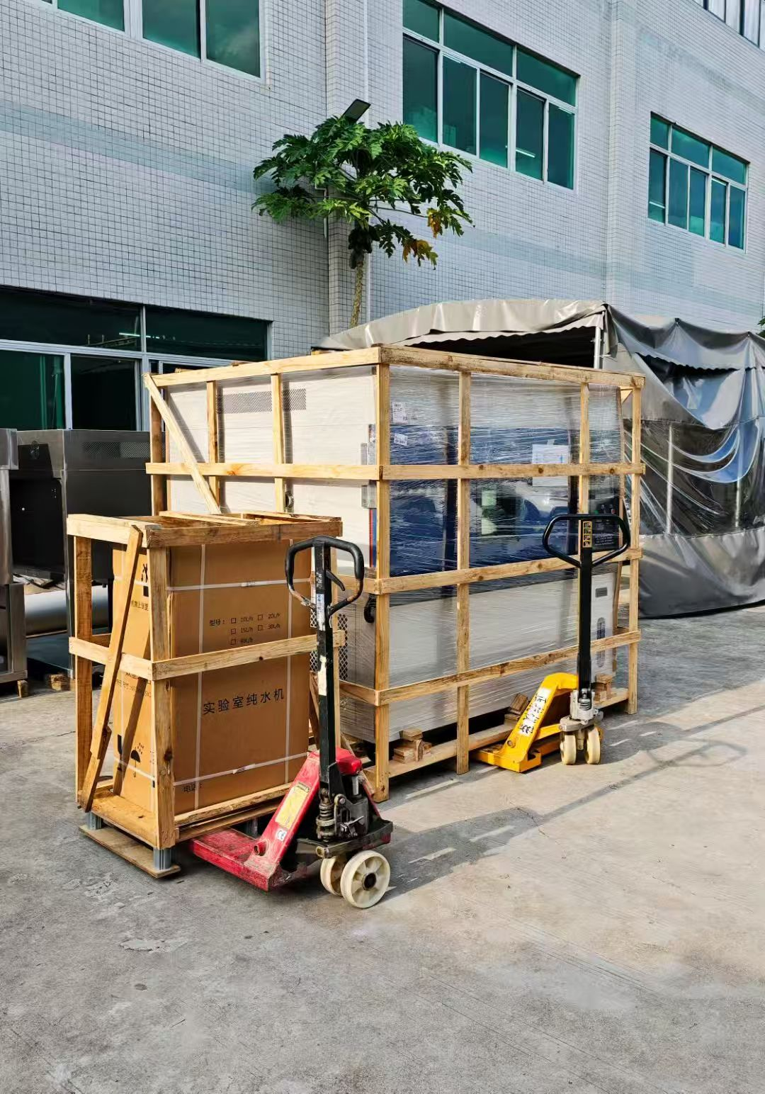 打包待發 打包待發